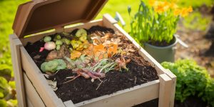 composte, jardinage bio